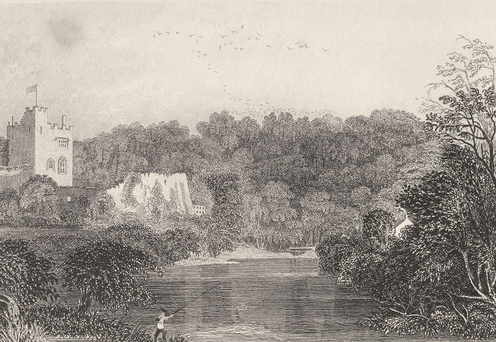WALES. Part of Bala Lake, Merionethshire. DUGDALE 1845 old antique print